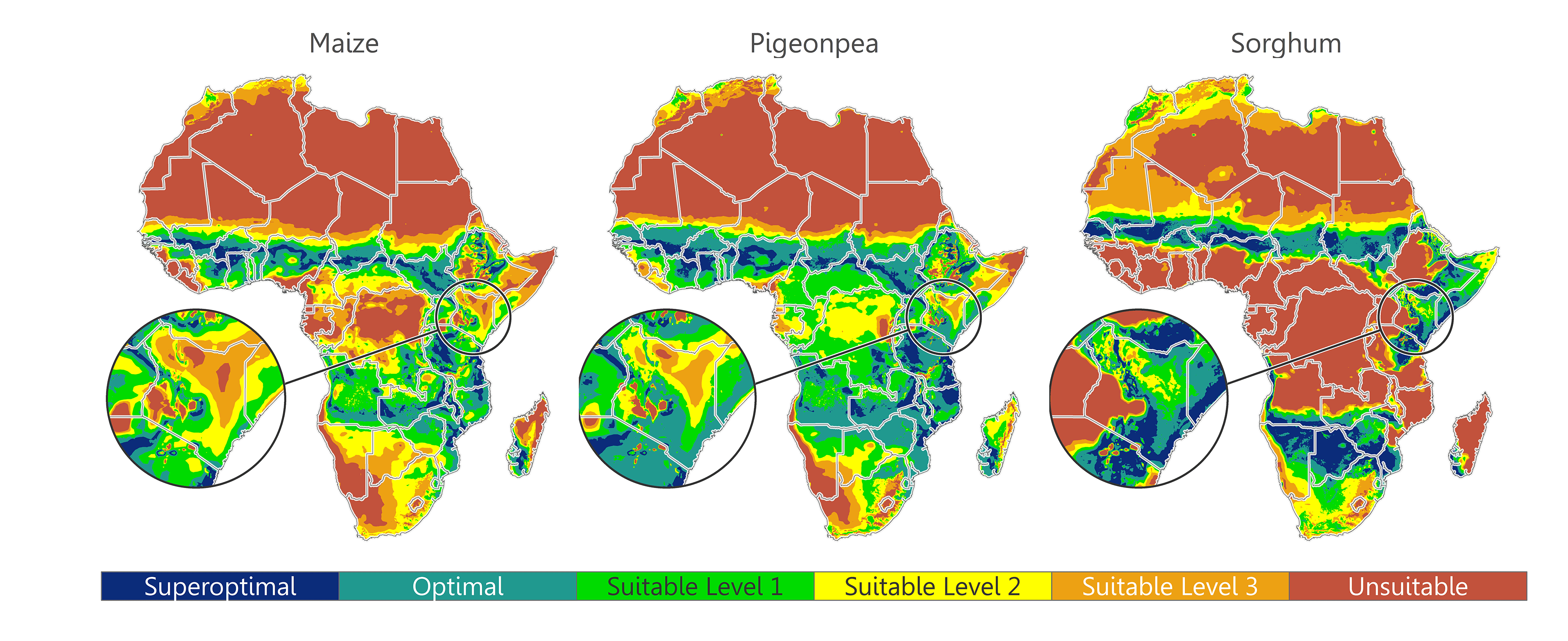 Image of maize, pigeonpea, and sorghum suitability across Africa.